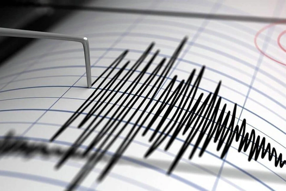В Турции произошло сильное землетрясение - ФОТО
